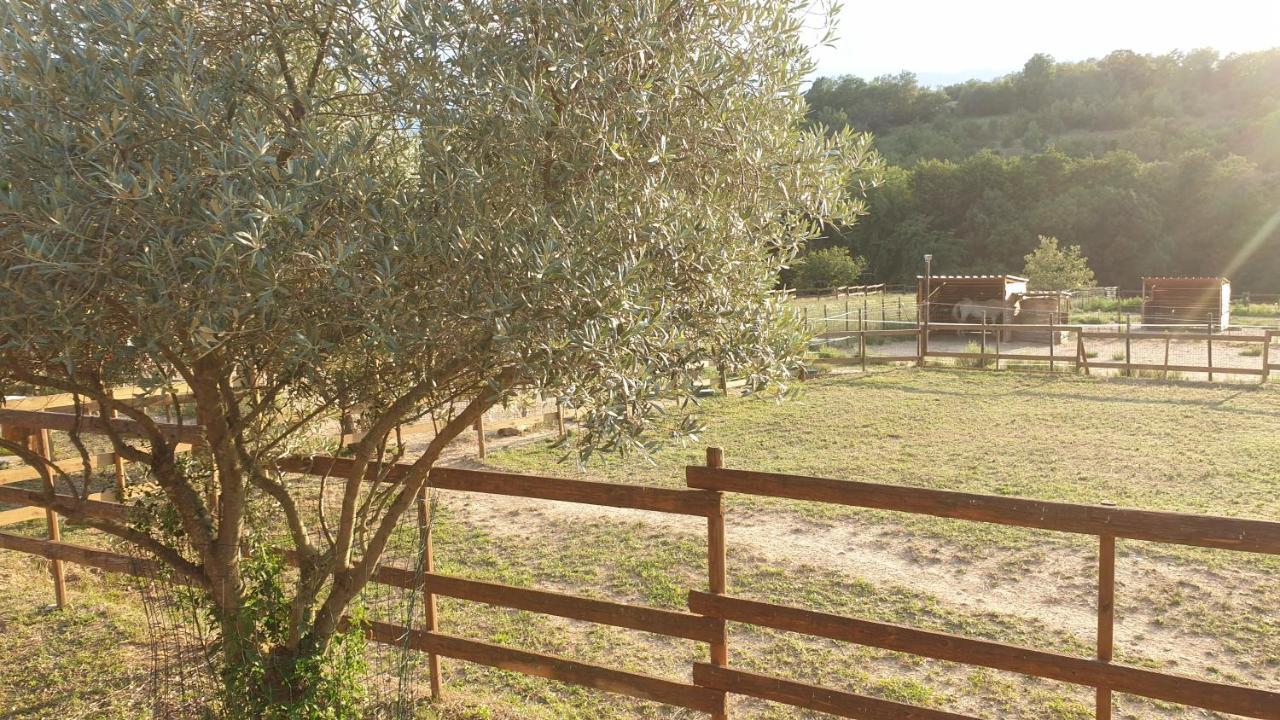 Chambre D'Hotes Le Petit Ranch Los Masos 외부 사진