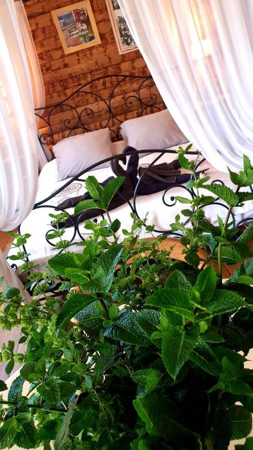 Chambre D'Hotes Le Petit Ranch Los Masos 외부 사진