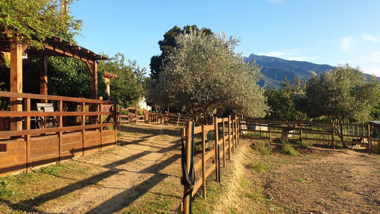 Chambre D'Hotes Le Petit Ranch Los Masos 외부 사진