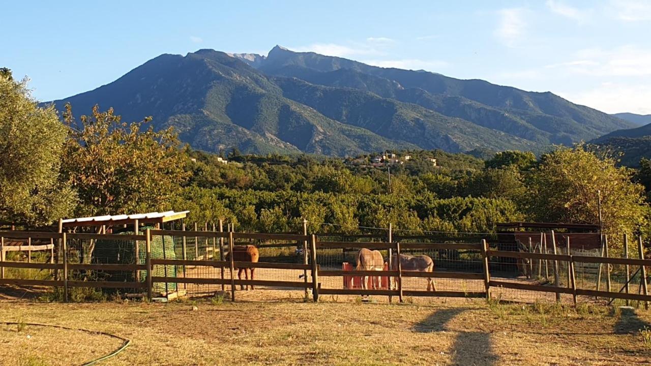 Chambre D'Hotes Le Petit Ranch Los Masos 외부 사진